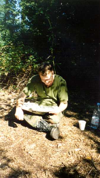 Now ... how are my shares doing?