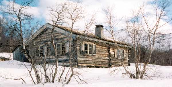 The Cabin