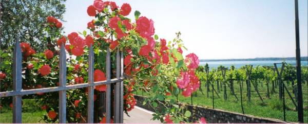 Lake Garda: Walking Paradise