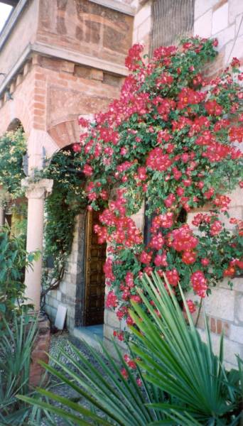 Lake Garda: The Grounds