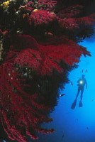 Quiet moments can be breathtaking